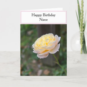 Niece Birthday Pastel Gul ros Rosa Cuptårta Kort