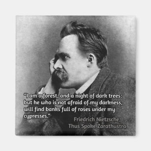 Nietzsche-citat om mörker magnet