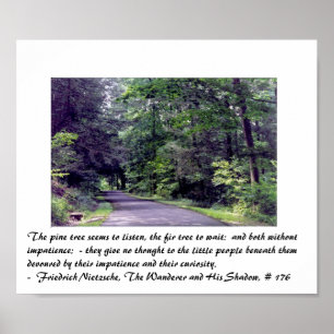 Nietzsches skog - poster