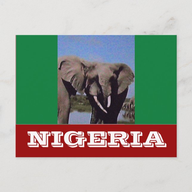 Nigeria flagga vykort (Framsida)