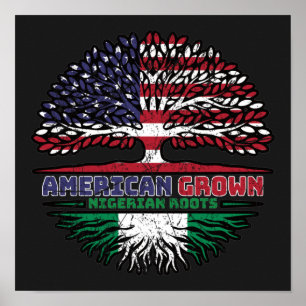 Nigeria Nigerias amerikanska USA, Förenta Stater Poster
