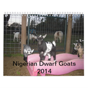 nigeriansk dvärg- kalender för get 2014