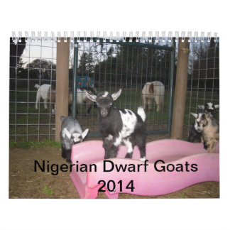 nigeriansk dvärg- kalender för get 2014