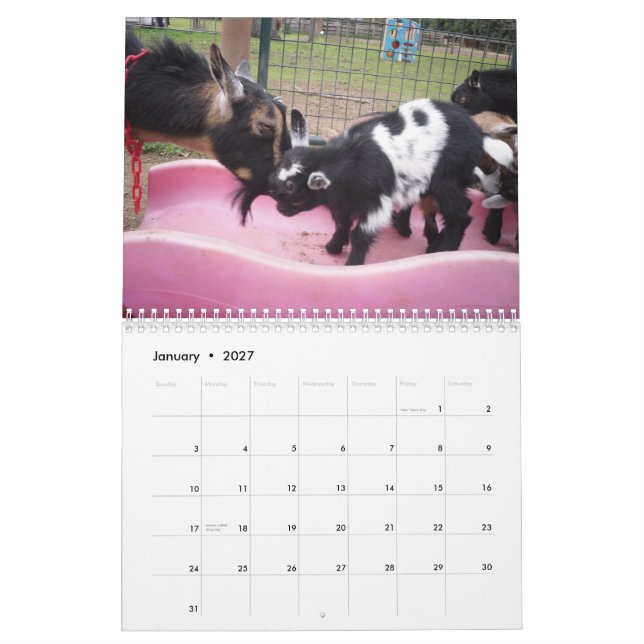 nigeriansk dvärg- kalender för get 2014 (Jan 2027)