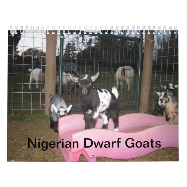 nigeriansk dvärggetkalender kalender (Omslag)