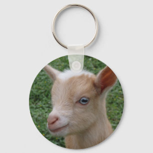 Nigerianska dvärgsläktet Goat Kid med blå Ögon Nyckelring