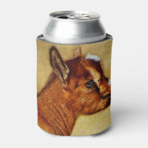 Nigerianska Dwarf Dairy Goat Kid