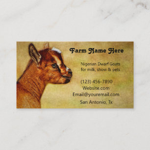 nigerianska Dwarf Dairy Goat Kid Visitkort