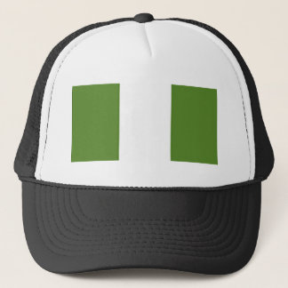 Nigerianska Flagga Truckerkeps