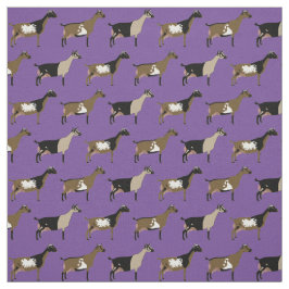 Nigerianska mjölkgetter på Lila Tyg