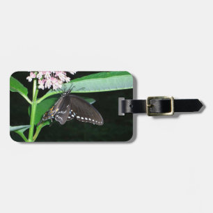 Night Butterfly Black Swallowtail vid Shenandoah Bagagebricka