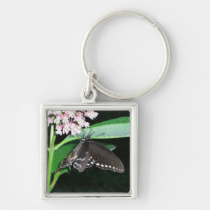 Night Butterfly Black Swallowtail vid Shenandoah Fyrkantig Silverfärgad Nyckelring