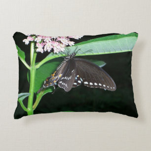 Night Butterfly Black Swallowtail vid Shenandoah Prydnadskudde