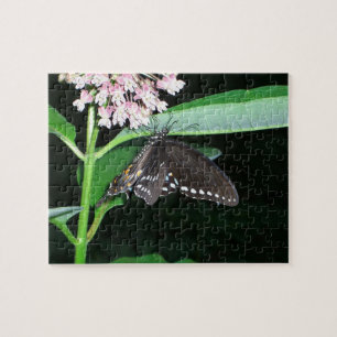 Night Butterfly Black Swallowtail vid Shenandoah Pussel