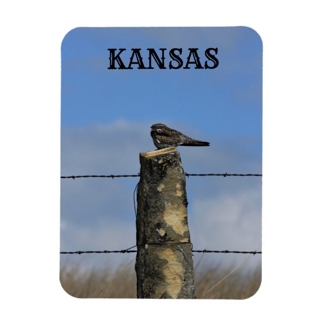 Night Hawk Spipande på ett stenpostmagnet Magnet (Vertikal)