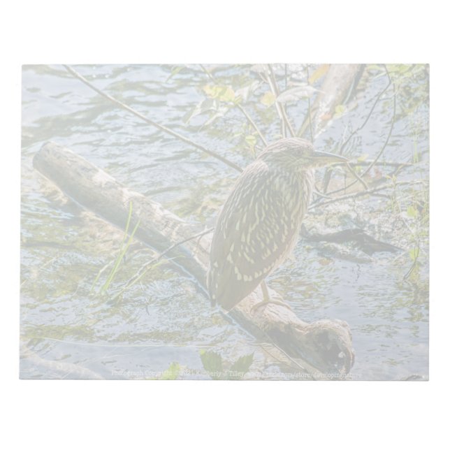 Night Heron jv Anteckningsblock (Framsida)
