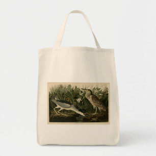 Night Heron, Qua Bird, Audubon's Birds of America Tygkasse