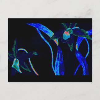 Night Orchid Vykort