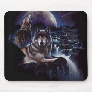 Night-Wolves-wolves-2812983-296-300 Musmatta