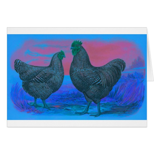 NightBreak Hälsningskort (Framsidan Horizontal)