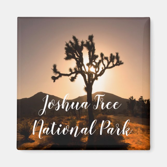 Nightfall börjar vid Joshua Träd Magnet (Framsidan)