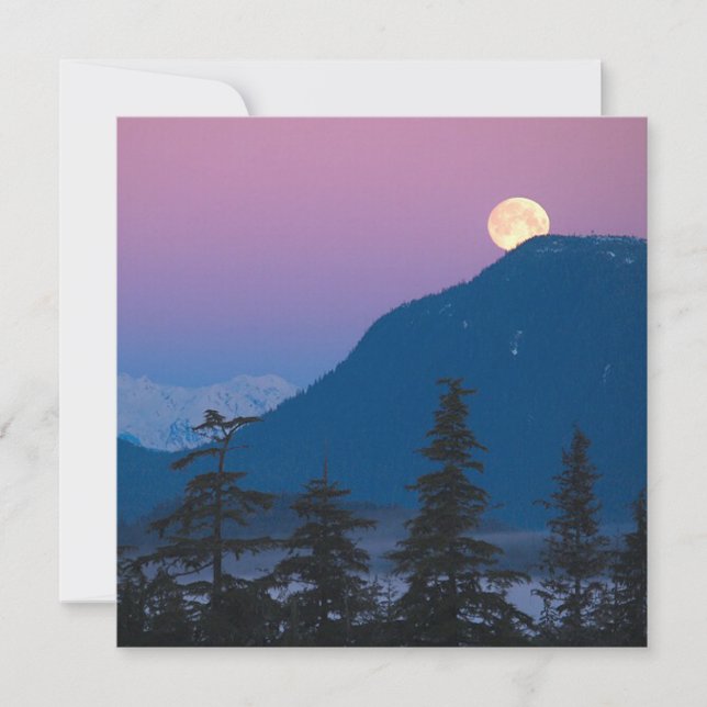 Nightfall i Alaska Inbjudningar (Framsida)