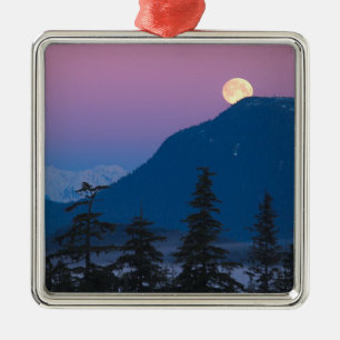 Nightfall i Alaska Julgransprydnad Metall