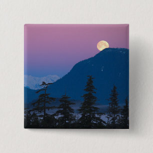 Nightfall i Alaska Knapp