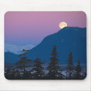 Nightfall i Alaska Musmatta