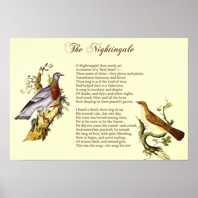 "Nightingale" av Wordsworth - Art Print Poster (Framsidan)