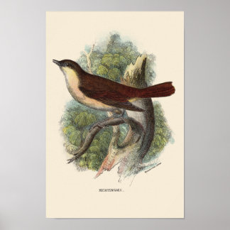 NIGHTINGALE PRINT POSTER