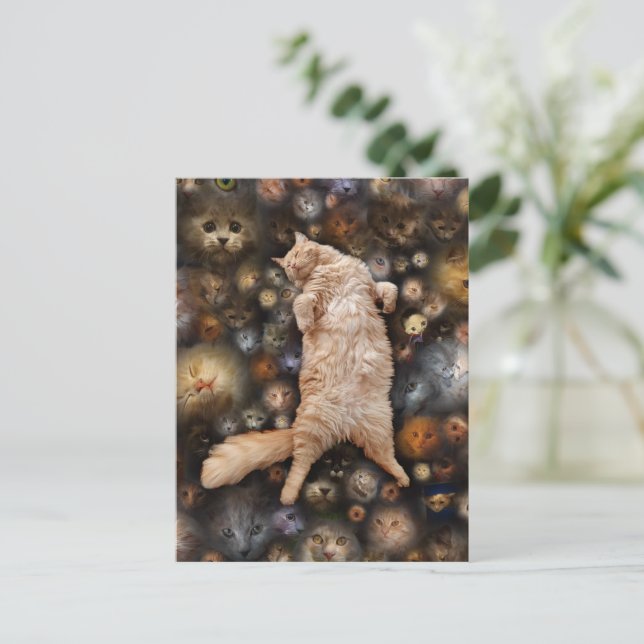 Nighty Nighty Kattunge, Vykort (Stående Fram)