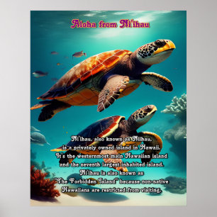 Niihau Aloha Poster