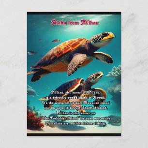 Niihau Aloha Vykort