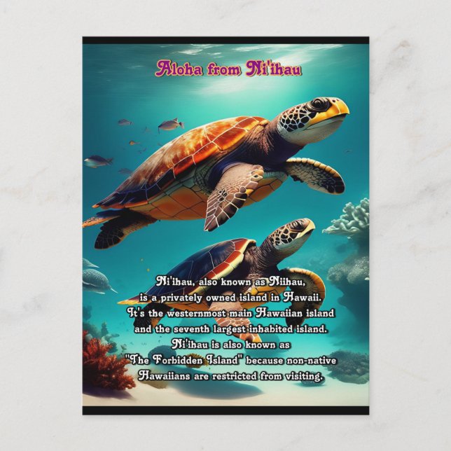 Niihau Aloha Vykort (Framsida)