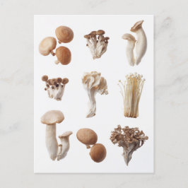 Niine Brown Mushrum Vykort