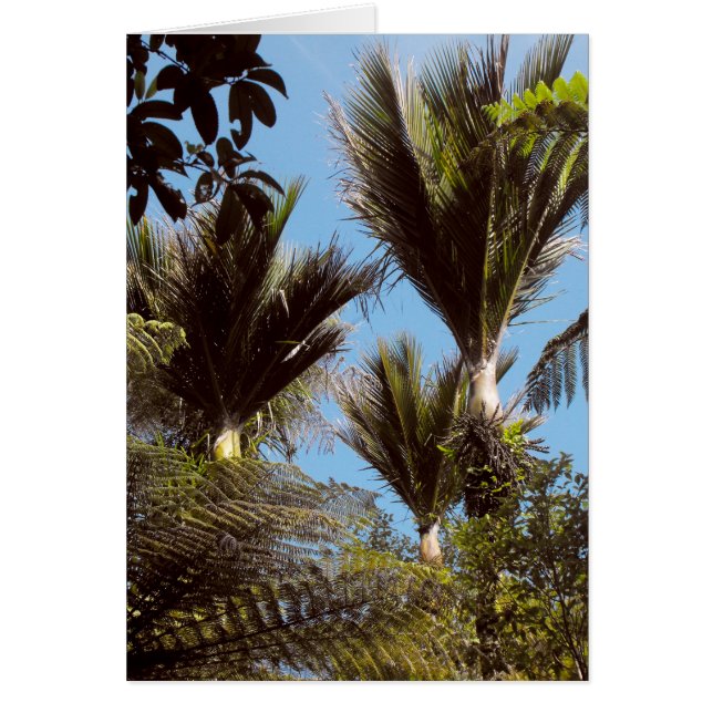 Nikau Handflatan Hälsningskort (Framsidan)