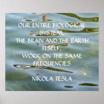 NIKOLA TESLA-CITAT - SAMMA FREKVENSER -