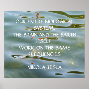 NIKOLA TESLA-CITAT - SAMMA FREKVENSER - POSTER