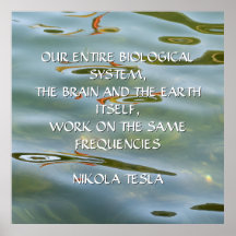 NIKOLA TESLA-CITAT - SAMMA FREKVENSER -