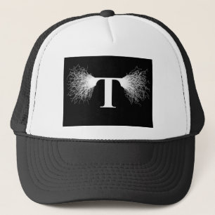 Nikola Tesla - den Tesla spolen - blixt Truckerkeps