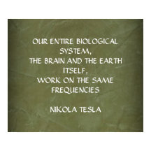NIKOLA TESLA QUOTE - SAMMA FREKVENSER -