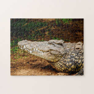 Nile Crocodile, Jigszle Puzzle Pussel