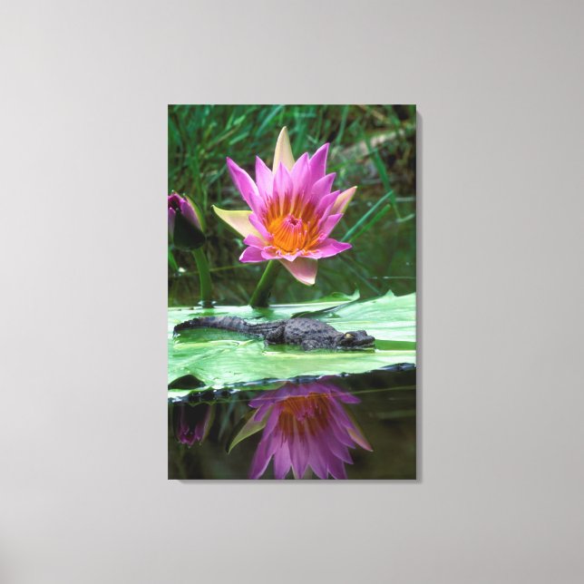 Nile Crokodile (Crocodylus Niloticus) Hatchling Canvastryck (Framsida)