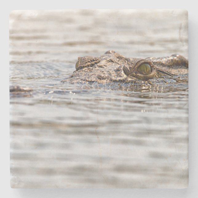 Nile Crokodile Underlägg Sten (Framsidan)