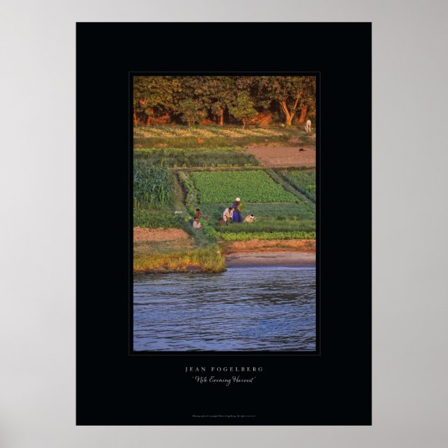 "Nile Evening Harvest" Poster (Framsidan)
