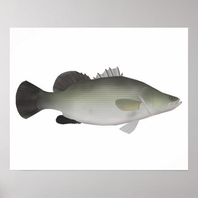 Nile Perch Poster (Framsidan)
