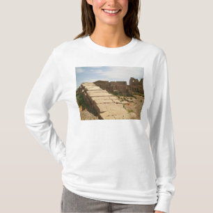 Nilometer från bårhuset t-shirt