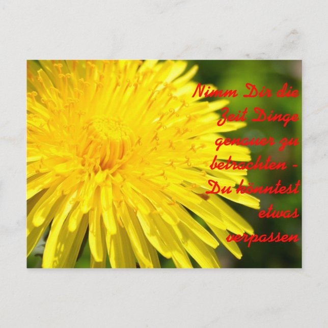 Nimm Dir die Zeit Dinge genauer zu b.. Vykort (Framsida)