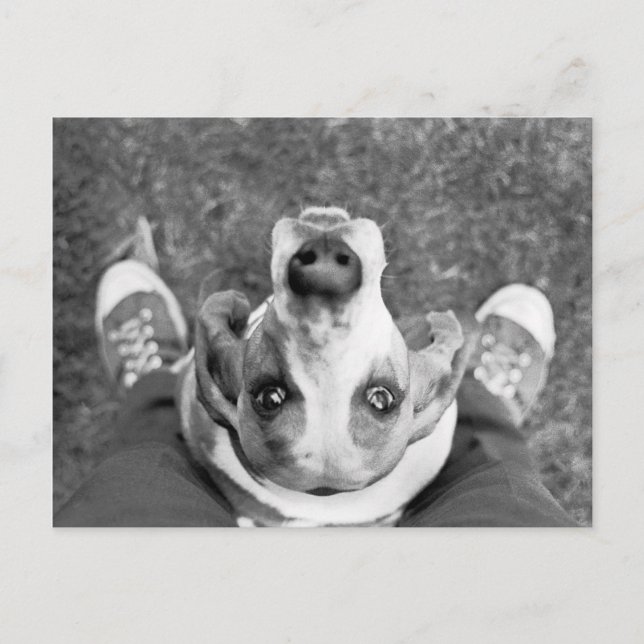 Nimrod med vykort för feet (Framsida)